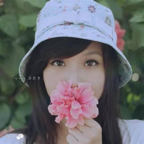 哪個星座最美