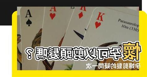 懷孕可以剪髮嗎