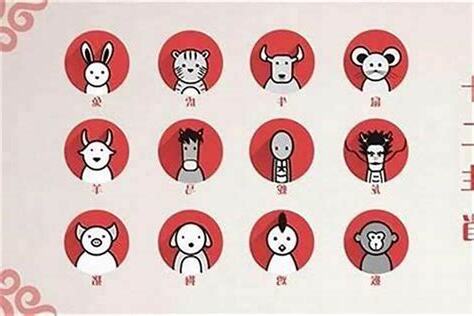1991年是什麼生肖