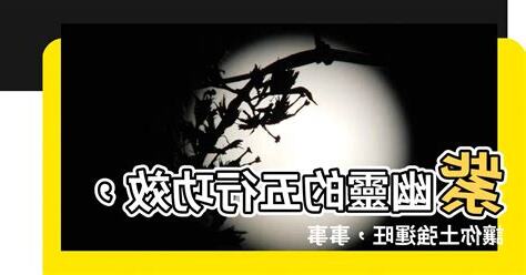 紫幽靈五行