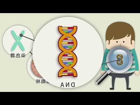 反感是什麼意思