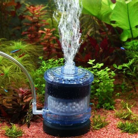 魚缸水流太強