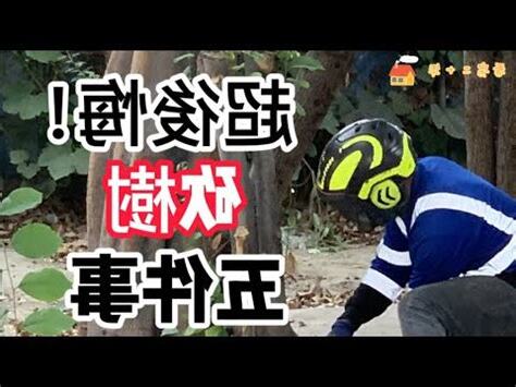 砍樹要看日子嗎