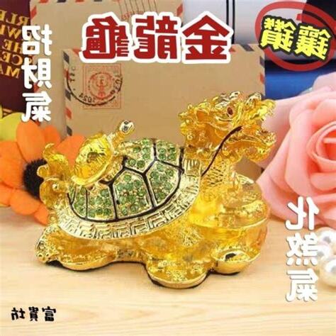 龜風水