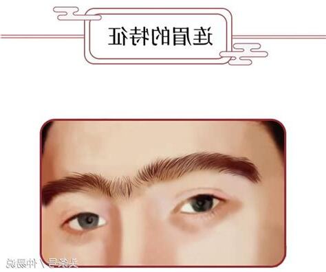 連眉的人
