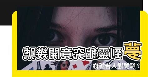 夢到烏龜開幾號