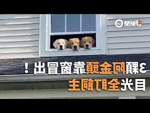 頭靠窗