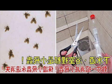 廁所有蜈蚣