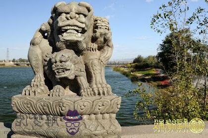 石獅子禁忌