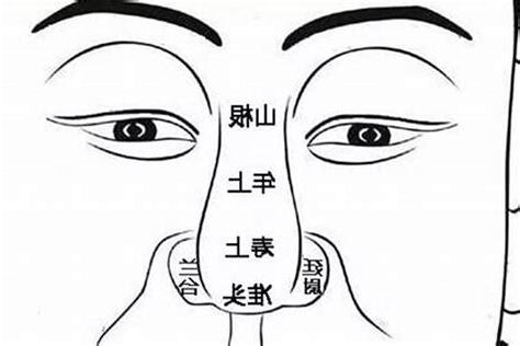 鼻子风水