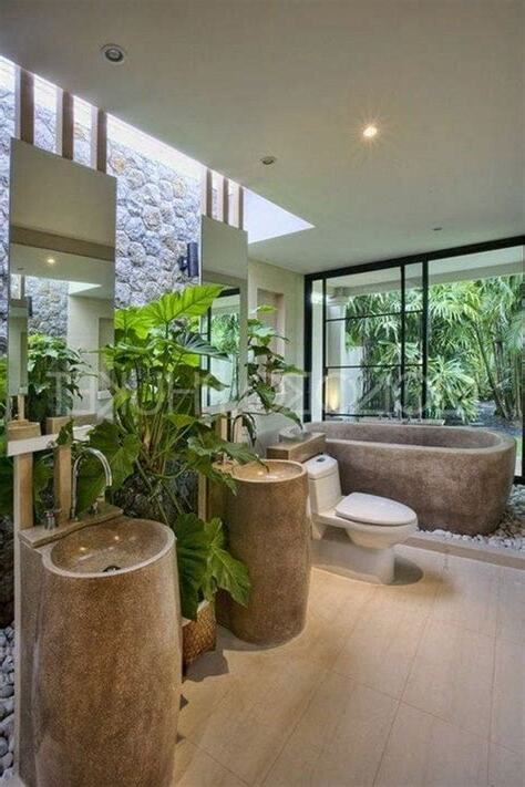 浴室適合放什麼植物