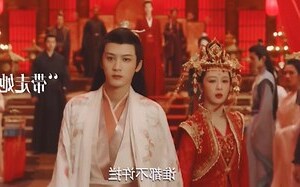 地上梧桐相待老