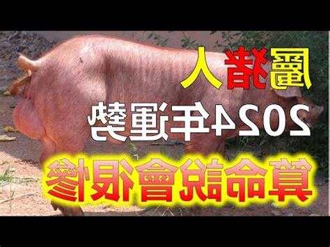 2024豬年運程1971