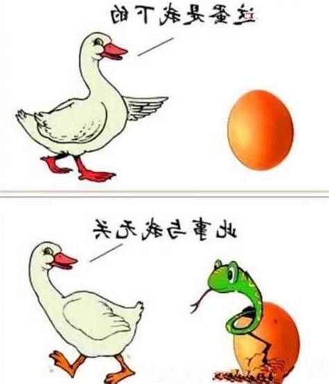 看懂了
