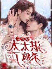 江慕晚湛黎辰