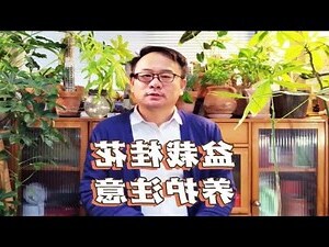 門前盆栽
