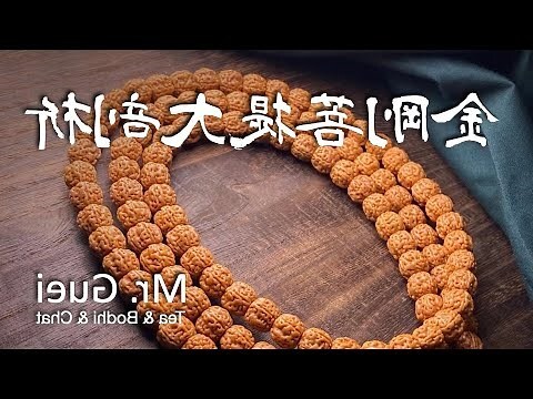 菩提子的種類