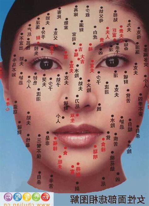 面相分析女