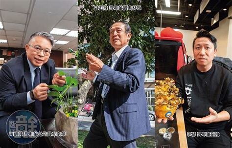 龍年風水擺設