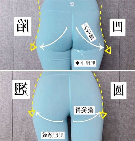 屁股圓