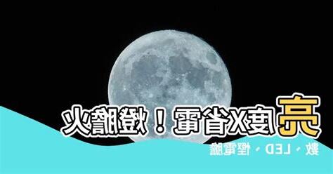 燈膽火數