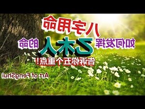 乙木人八字