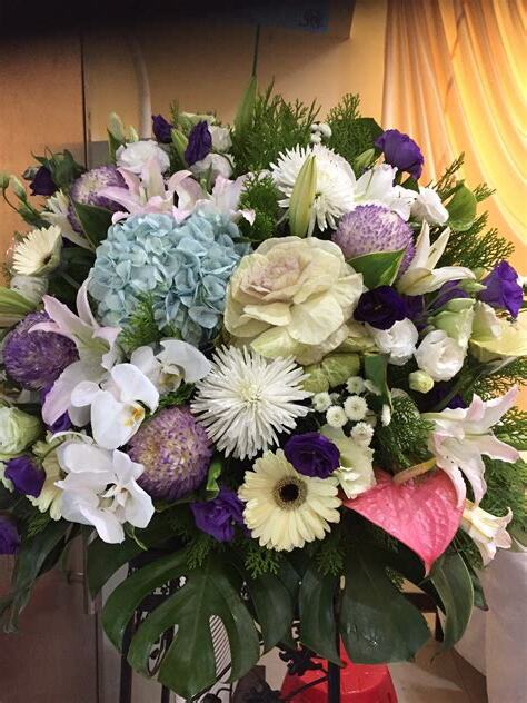 敬神盆花