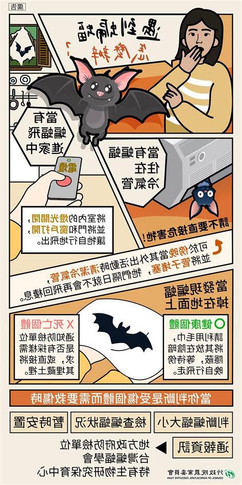 家有蝙蝠怎麼辦