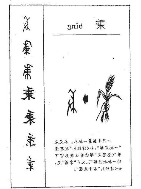 秉字五行