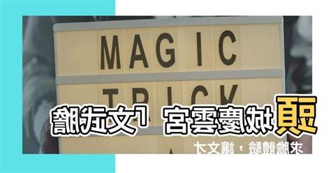 文武膽費用