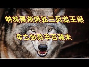 黑煞神