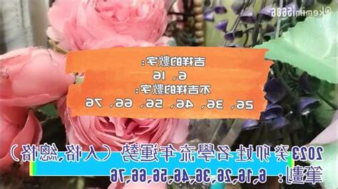 姓名筆劃人格總格