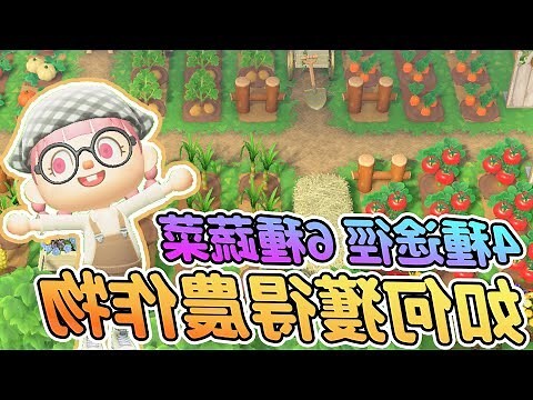 動森農作物價錢
