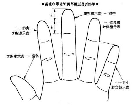 手指形狀手相