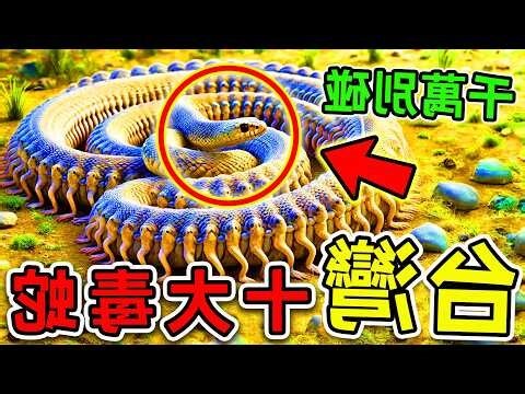 台灣最毒的蛇排名
