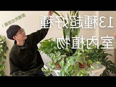 好種植物