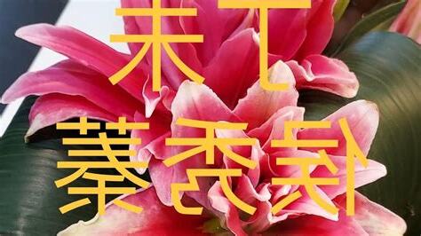 丁未年生肖