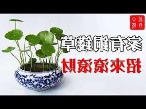 銅錢放門口