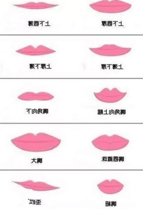 下嘴唇外翻面相