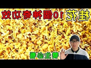 桂花禁忌