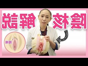 美女陰部