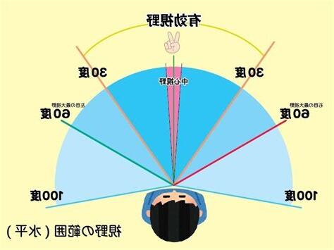 人類視野角度