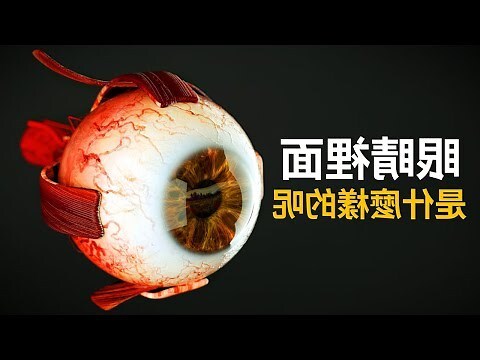 眼睛代表什麼