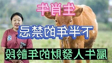 2023屬牛禁忌
