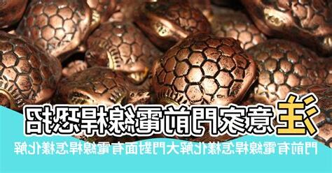 門口對面有電線桿
