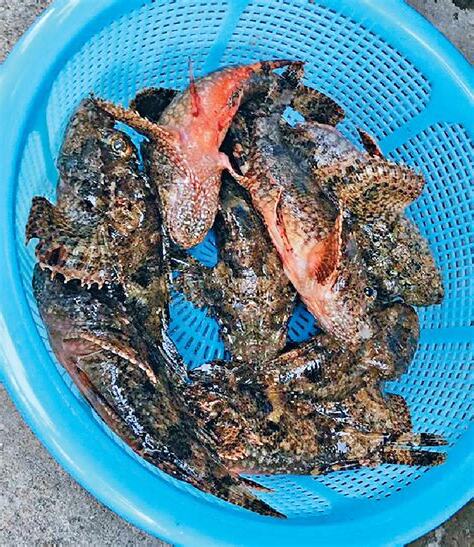 石崇魚禁忌