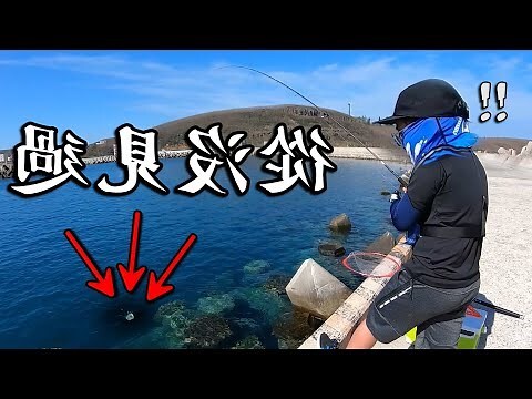 夢到小魚
