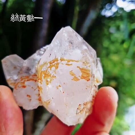 生殖輪水晶