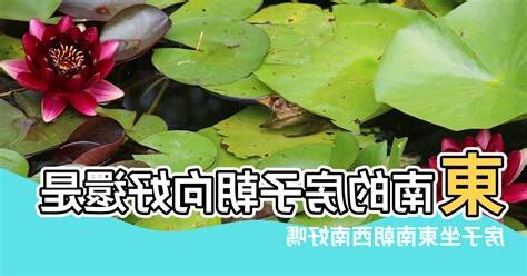 朝東南的房子好嗎