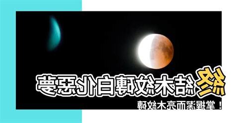 潔而亮木紋磚